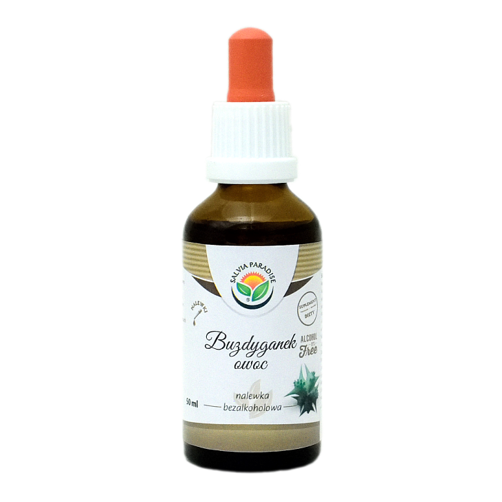 Buzdyganek owoc nalewka AF 50 ml - Buzdyganek naziemny – Tribulus terrestris