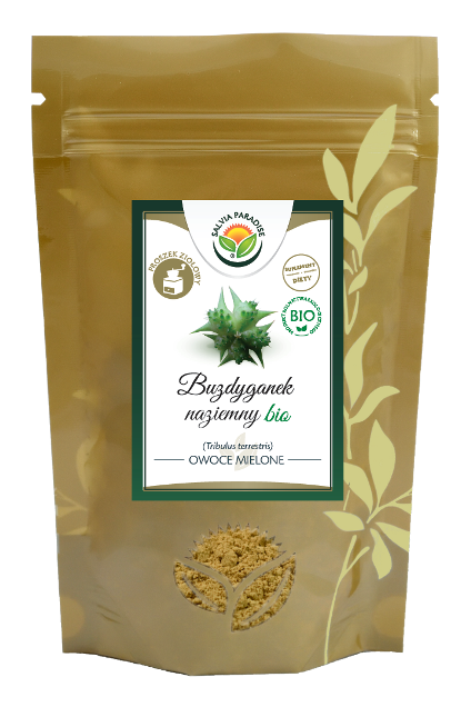 Buzdyganek – Tribulus owoce proszek BIO 100 g - Buzdyganek naziemny – Tribulus terrestris