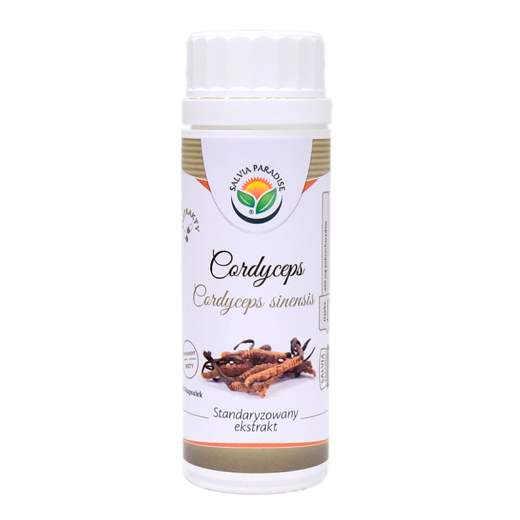 Cordyceps sinensis – ekstrakt standaryzowany kapsułki 100 szt. - Kordyceps chiński – Cordyceps sinensis