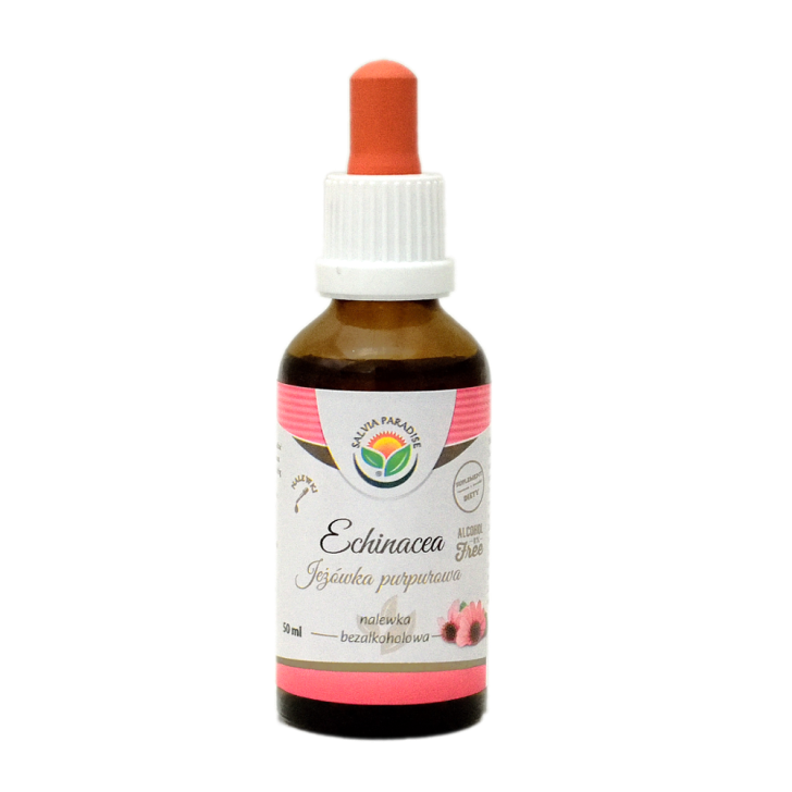 Echinacea – Jeżówka purpurowa  nalewka 50 ml - Jeżówka purpurowa – Echinacea purpurea