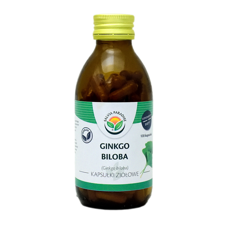 Ginkgo biloba – Miłorząb kapsułki 120 szt. - Miłorząb dwuklapowy – Ginkgo biloba