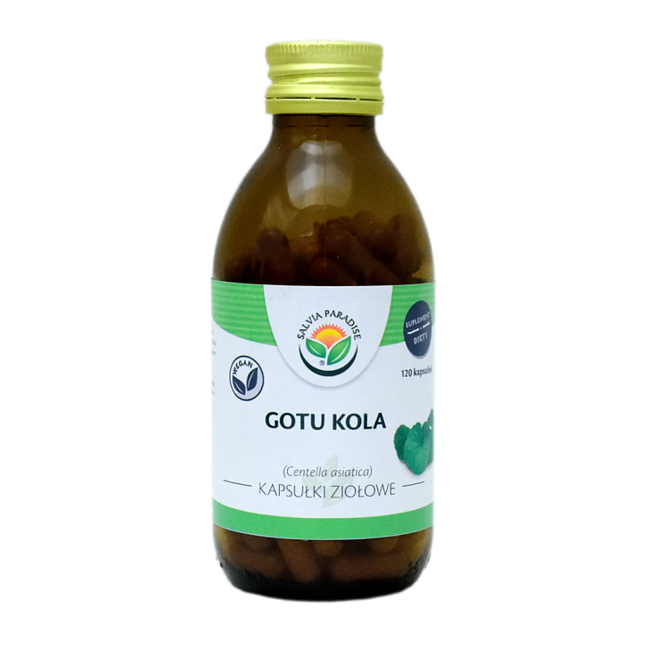 Gotu kola – Wąkrotka kapsułki 120 szt. - Gotu kola – Wąkrota azjatycka