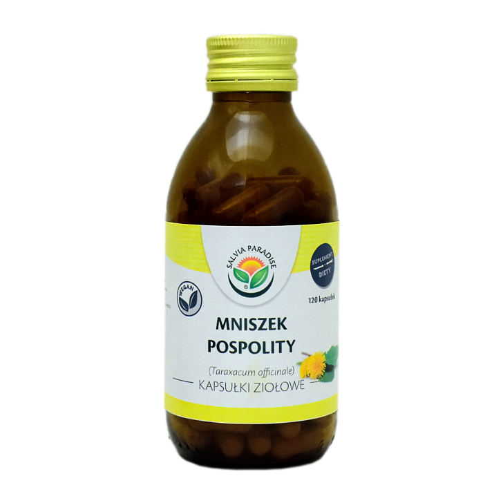 Mniszek pospolity kapsułki 120 szt. - Mniszek lekarski – Taraxacum officinale