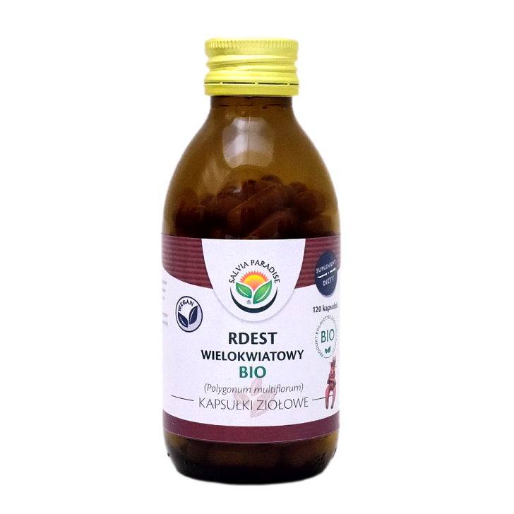 Rdest wielokwiatowy kapsułki BIO 120 szt. - Rdest wielokwiatowy – Polygonum multiflorum