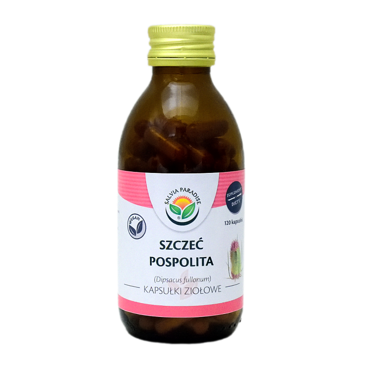 Szczeć pospolita kapsułki 120 szt. - Świerzbnica leśna – Dipsacus fullonum