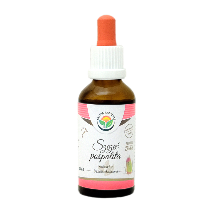Szczeć pospolita nalewka AF 50 ml - Świerzbnica leśna – Dipsacus fullonum