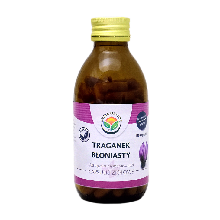 Traganek błoniasty kapsułki 120 szt. - Kozieniec błoniasty – Astragalus membranaceus