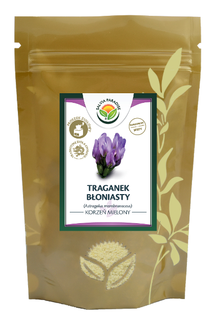 Traganek błoniasty korzeń mielony 100 g - Kozieniec błoniasty – Astragalus membranaceus
