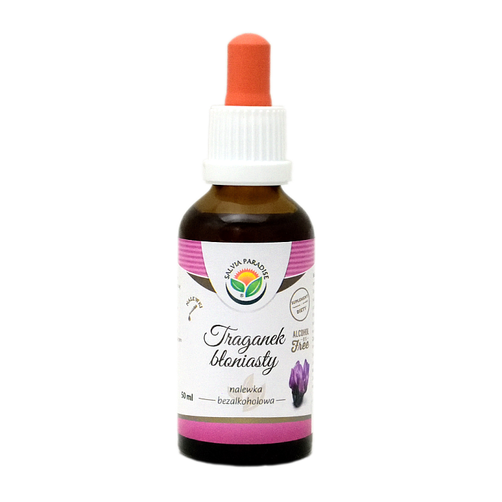 Traganek błoniasty nalewka AF 50 ml - Kozieniec błoniasty – Astragalus membranaceus