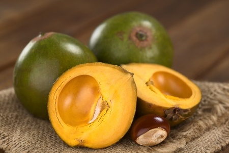 Lukuma – Pouteria lucuma