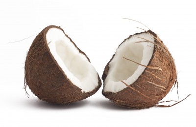 Palma kokosowa – Cocos nucifera