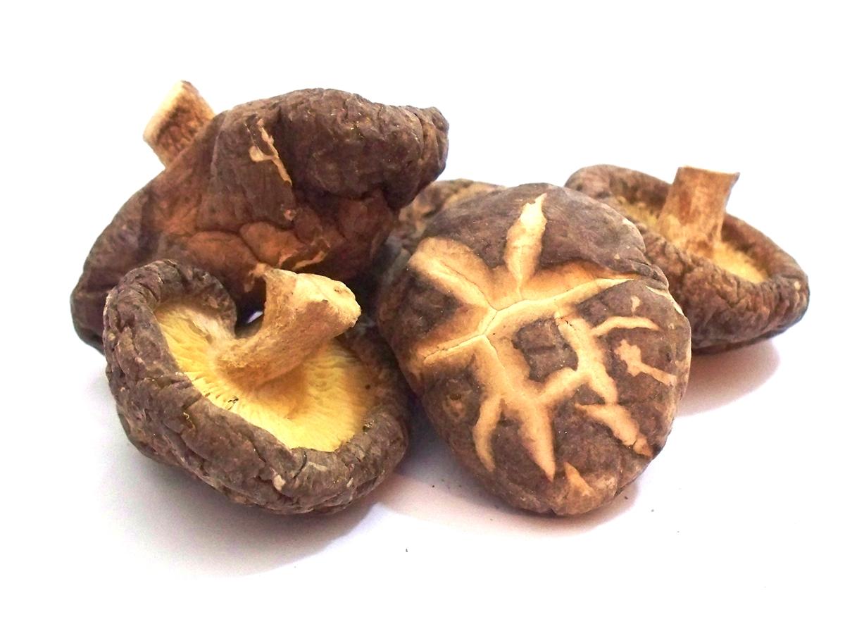 Shiitake – Twardnik jadalny