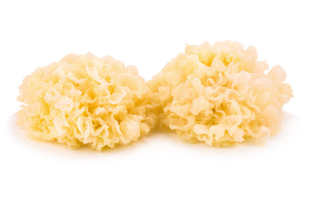 Tremella – Tremella fuciformis